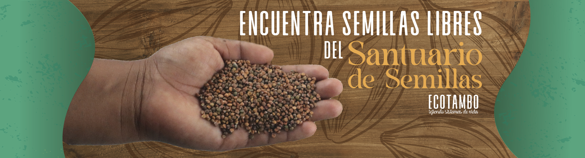 <p>Producto del mes<br></p>